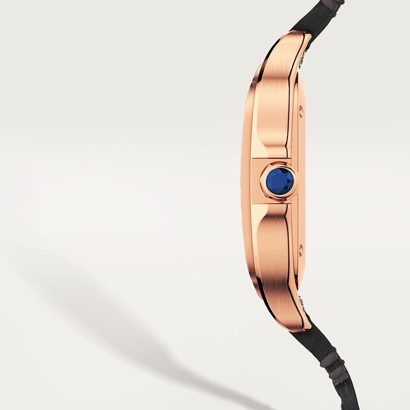 Cartier Santos de Cartier horloge Blauw Kroon Roségoud 41.9 mm x 35.1 mm CRWGSA0028 - Afbeelding 3